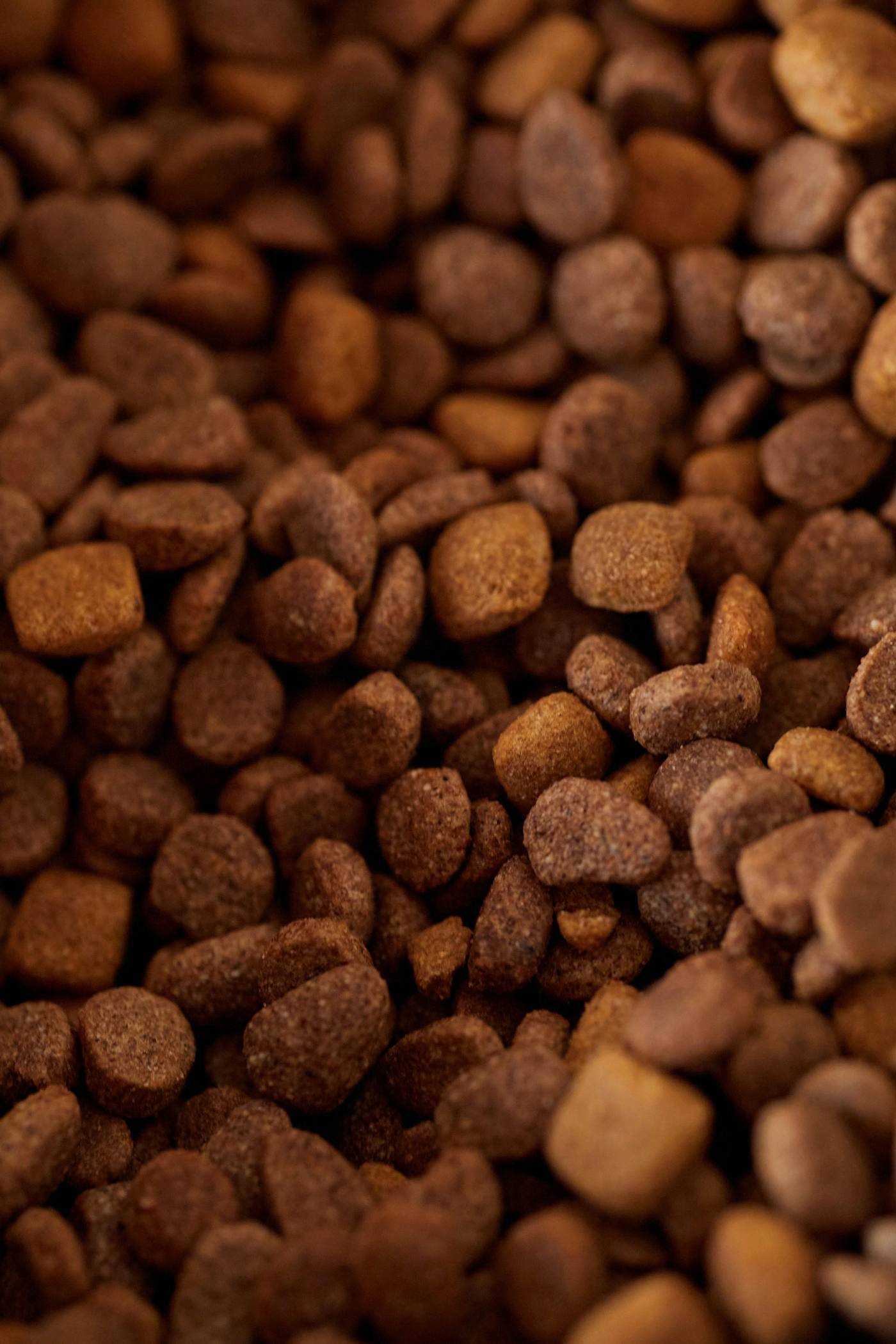 Balanced Small-Breed Dry Food — pug product